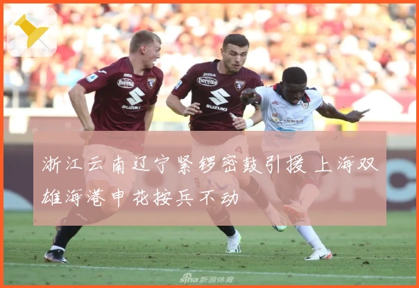 浙江云南辽宁紧锣密鼓引援 上海双雄海港申花按兵不动