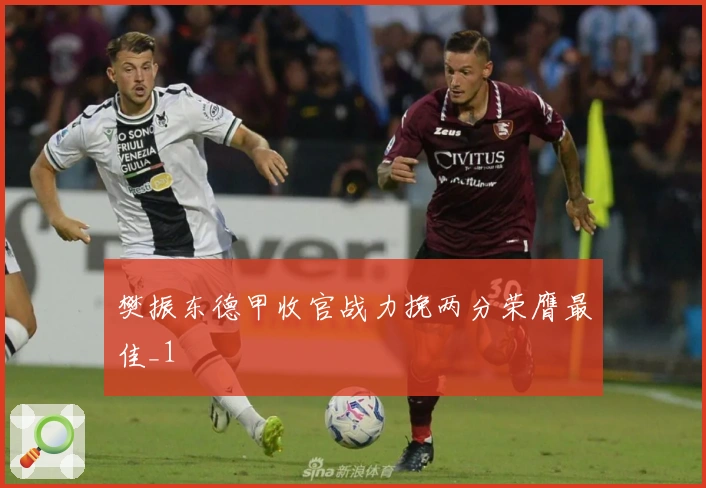 樊振东德甲收官战力挽两分荣膺最佳_1