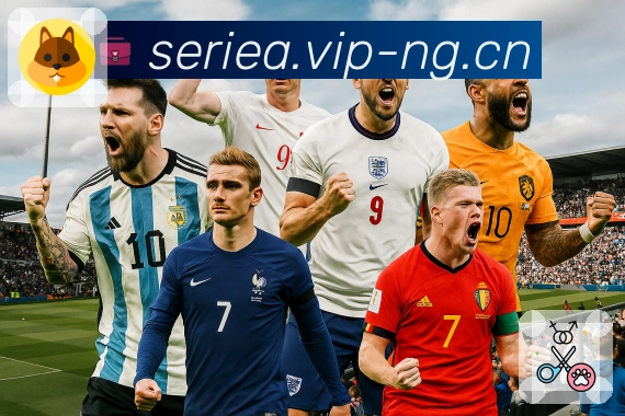 今日体育直播立即看上 ng体育。